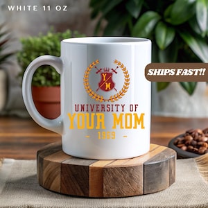 Funny College Student Mug Gift for University Gift Idea New Student Coffee Cup Gift for New Student Gift  College Freshman Unique Dorm Gift