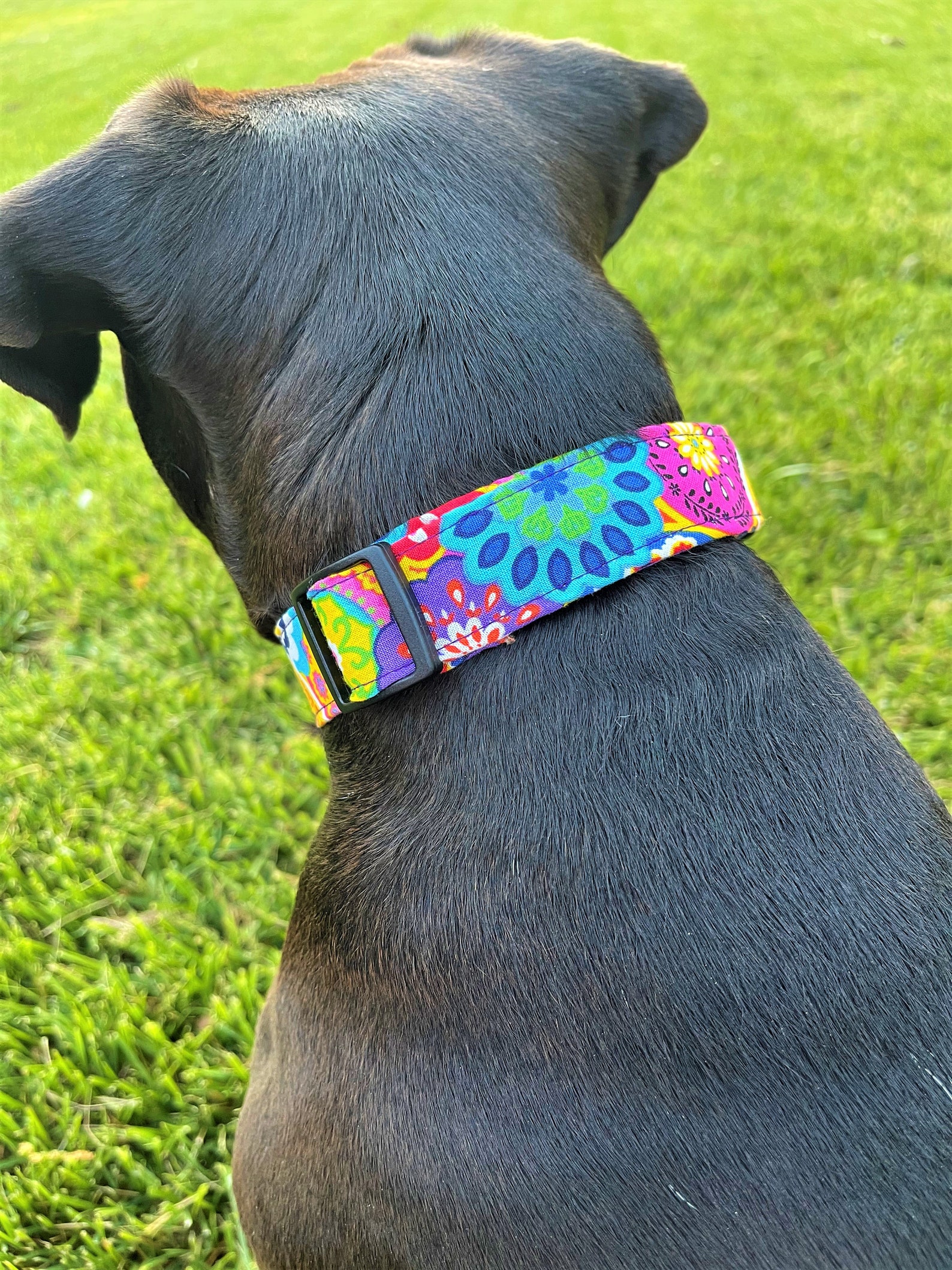 Floral Boho Dog Collar Etsy
