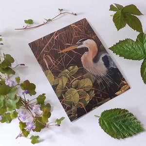 Cartão Postal Green Heron/Aguarela - Cartão de Arte de Pássaro - Mini Estampa