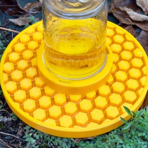 Bee Feeder for Regular Mouth Mason Jar