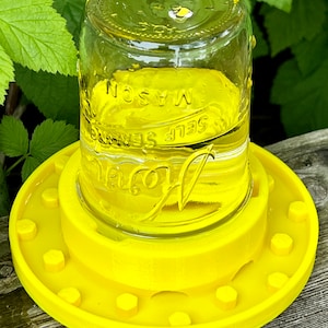 Bee Feeder for Regular Mouth Mason Jar