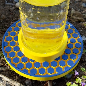 Custom Colors Bee Feeder for Wide Mouth Mason Jar