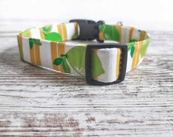 Key Lime Dog Collar, Lemon Lime, Boy Dog Collar, Girl Dog Collar