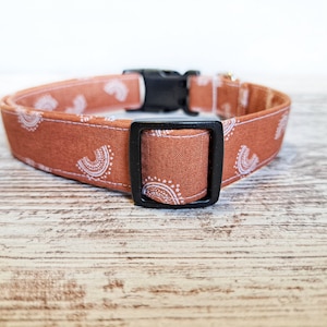 May include: A brown dog collar with a white paisley pattern and a black buckle.