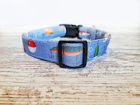 blue dog fishing lures Fishing Lure Dog Collar, Fishing, Fishing Lures, Bobbers, Summer Time, Boy  Dog Collar