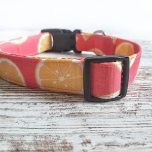 Pink Lemonade Dog Collar, Lemons, Pink Dog Collar, Girl Dog Collar