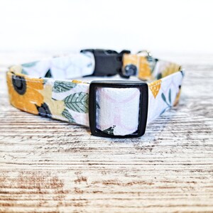 Spring Bloom Dog Collar, Floral Dog Collar, Flowers, Honeycomb, Girl Dog Collar