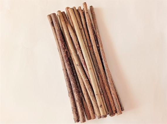 Bastoncino di nocciolo 3 pezzi da 12 30 cm, ramo di legno grezzo