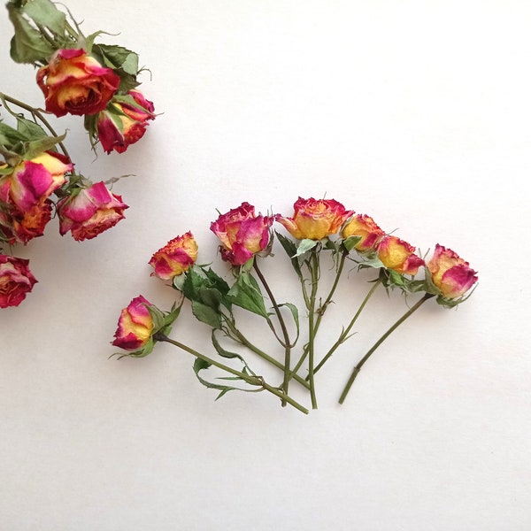 Dried rose stems 7pcs, Dried tiny yellow red roses, Real mini red orange roses for crafts, Mini roses for wedding