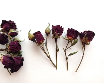 7 Tiny Dried Burgundy Roses, Real Floral Craft Supplies