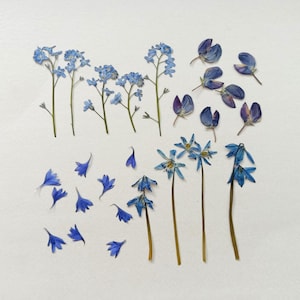 25-teiliges Set getrockneter nordischer Wiesenblumen, gepresster blauer Blumenmix, Hochzeitskarten, Rahmen, Lesezeichen