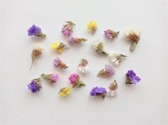 Tiny Mixed Flowers for Crafts 50ml Box, Dried Mini Flower Set for Crafts,  Small Flower Set 