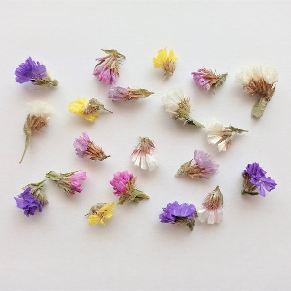 20pcs real dried tiny flowers, Mini multicolor flowers, Small flower mix, Assorted flowers for resin art