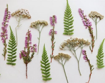 Juego de flores silvestres prensadas seleccionadas a mano (17 piezas): Flores secas para arte en resina.