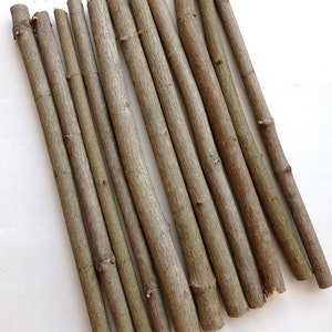 Maple stick 12&quot;, Dried maple branch,  Wood supply for wand making, Natural wood supply