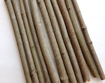 Maple stick 12&quot;, Dried maple branch,  Wood supply for wand making, Natural wood supply