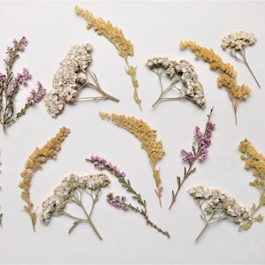 Dried pressed flowers 15pcs for crafts Pressed flower mixed pack Dry pressed wildflower art Dried flower Summed flower set Invitation flower