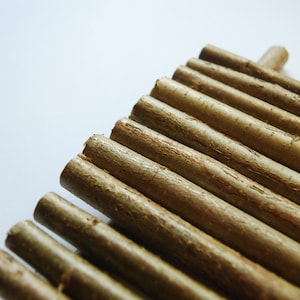 Wood branch, 1 natural hazel stick, real hazel nut wood, wood supply for wand making, witchcraft, craft decor, 0,39-0,8&#39;&#39; diameter., 12&#39;&#39;