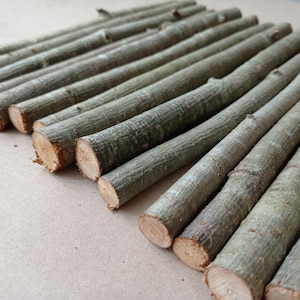 Rowan stick 12&quot;, One mountain ash stick, Wood craft supply for wand making
