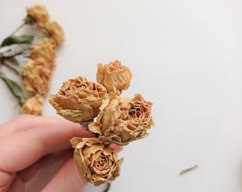 Dried small roses 7pcs, Real dried vintage mini flowers, Dried beige yellow flower set