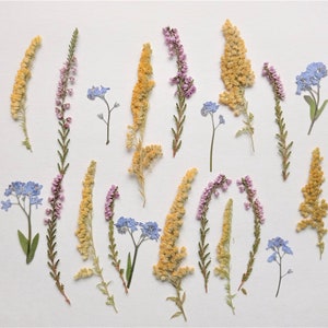 Dried Pressed flowers 20pcs, Dried flower pack for craft, Dried pressed flower art, Wedding flower, Card making, Scrapbooking, Candle flower