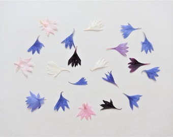 20pcs pressed tiny flowers, Pressed small blue pink white cornflower, Real dried flower for resin