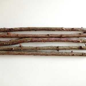 Può includere: Cinque bastoncini marroni di diverse lunghezze e spessori sono disposti orizzontalmente su uno sfondo bianco. I bastoncini sono naturali e hanno una texture ruvida.