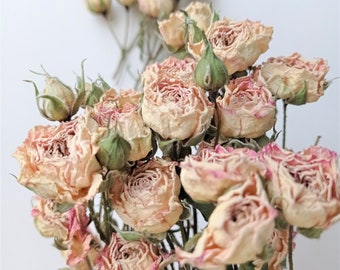 7 rose secche color avorio e beige, piccole decorazioni vintage per matrimoni