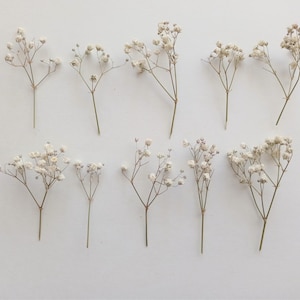 10pcs White Babys Breath Artificial Flowers Bulk, Long Stem Fake Gypsophila  For Wedding Bouquets Floral Arrangement Home Office Table Decor, Fall Farm