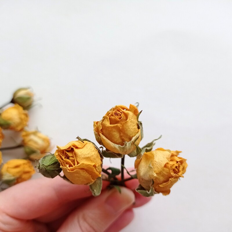 NordicNatureGifts - Etsy