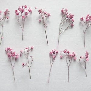 Dried Baby's Breath 10pcs, Mini Pink Flower Bouquet, Dried Gypsophilia, Real Dry Mini Flowers, Tiny Dried Flowers for Resin and Decoration