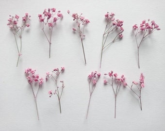 Aliento de bebé seco 10pcs, mini ramo de flores rosas, gypsophilia seca, mini flores secas reales, pequeñas flores secas para resina y decoración