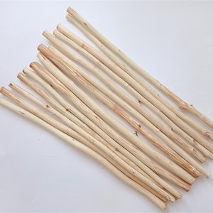 Op de afbeelding: Een verzameling natuurlijke houten deuvels, diagonaal gerangschikt op een witte ondergrond. De deuvels zijn lichtbruin met zichtbare houtnerf en variërende diktes, wat suggereert dat ze handgemaakt of rustiek zijn. Ze lijken vers gesneden.