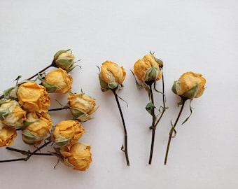 Mini rose gialle essiccate (7 pezzi) - Artigianato e decorazioni
