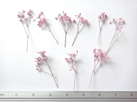 Small Pink Dried Flowers Bunch 