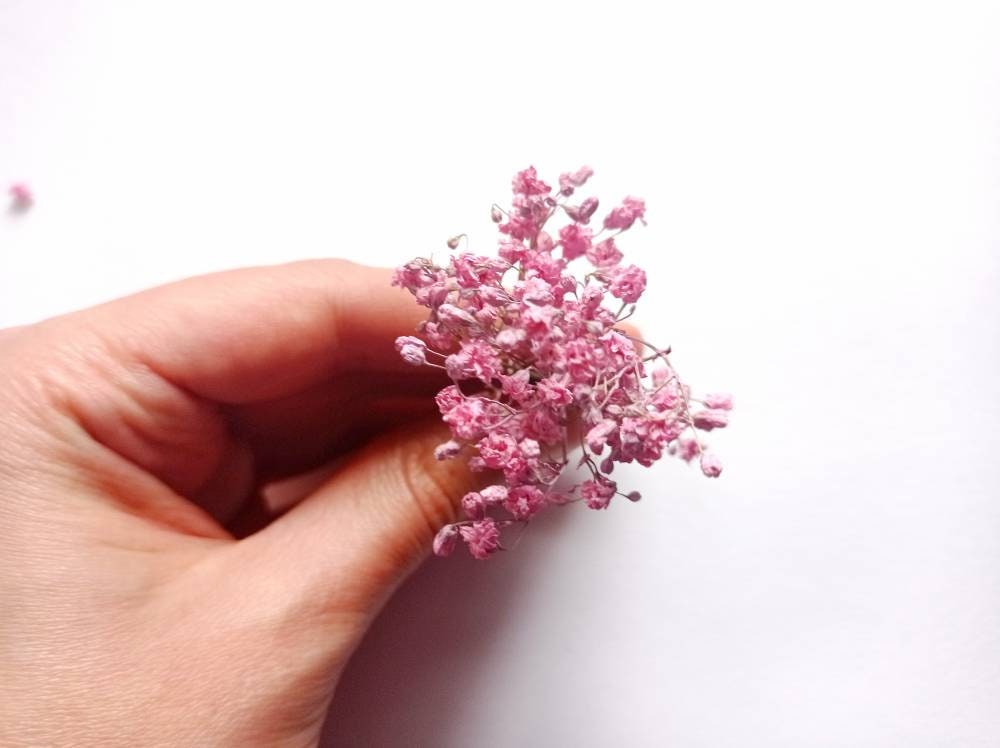 Dried Baby's Breath 10pcs Mini Pink Flower Bouquet Dried Etsy