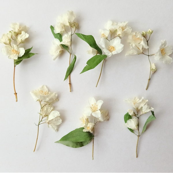 Dried Flowers Resin Etsy