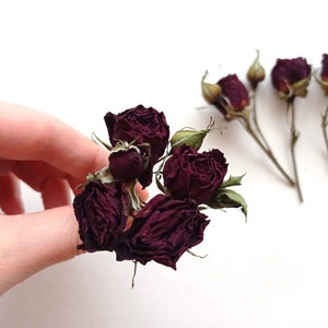 7pcs dried tiny dark red roses, Dried tiny burgundy roses, Real mini wine red roses for crafts, Mini maroon color roses for wedding