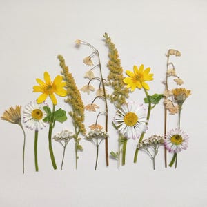Parure de fleurs séchées, Mariage d'été, Artisanat botanique, Fleur pressée jaune, Fleur pressée bleue, Parure de fleurs sauvages
