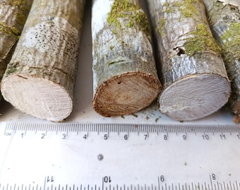 Bastoncino di legno di sorbo spesso 3-3,5 cm per la creazione di bacchette magiche, materiale artigianale rustico (lunghezza 30 cm)