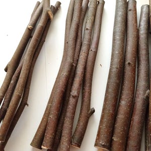 Palo de tilo de 12", un palo de tilia, material de madera para manualidades para hacer varitas