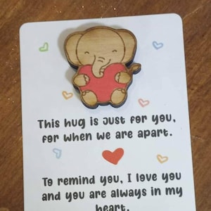 5 piece Animal Pocket Hugs