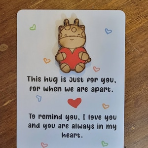 5 piece Animal Pocket Hugs