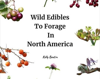 Wild Edibles To Forage In North America eBook By Kelly Boutin