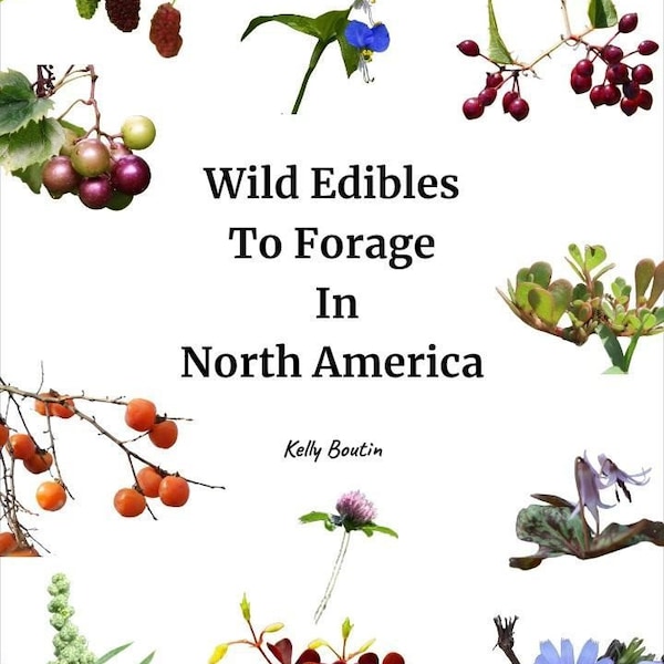 Wild Edibles To Forage In North America eBook By Kelly Boutin