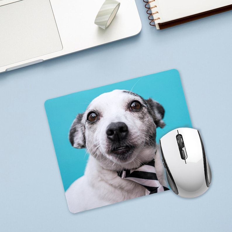 Pode incluir: Um c&atilde;o branco e preto com uma gravata borboleta branca e preta sobre um fundo azul. Um rato de computador branco est&aacute; no lado direito da imagem.
