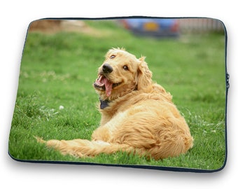 May include: A golden retriever dog lying on its side in a grassy field, looking at the camera with its tongue sticking out.