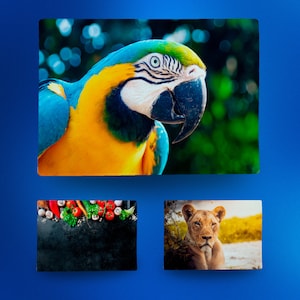Personalized Photo Chopping Board: Chinchilla Finish Toughened Glass image 6