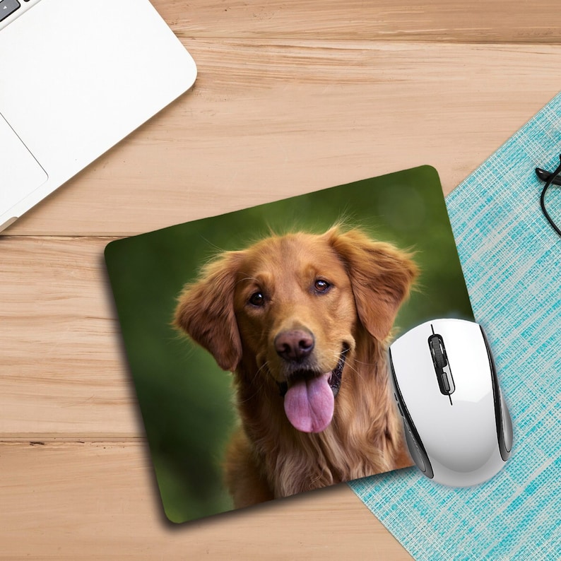 Pode incluir: Um c&atilde;o castanho e branco com a l&iacute;ngua longa de fora, olhando diretamente para a c&acirc;mera. O c&atilde;o est&aacute; em um fundo verde. Um rato de computador branco est&aacute; no lado direito da imagem.