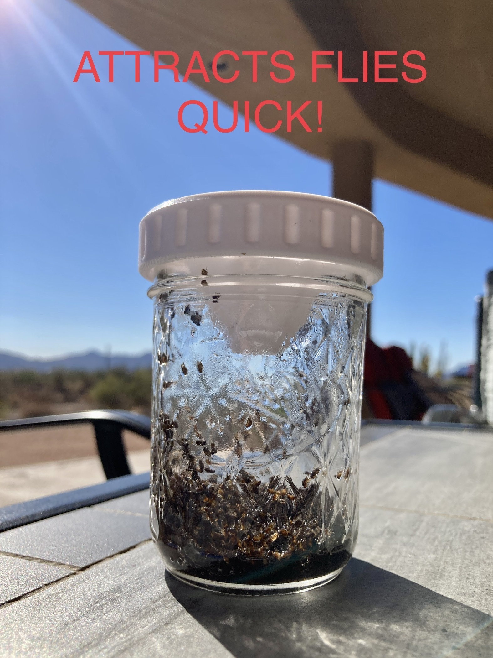 Fruit Fly Mason Jar Trap Fruit Fly Catcher Mason Jar Lid Kitchen Essential, Perfect Gift for